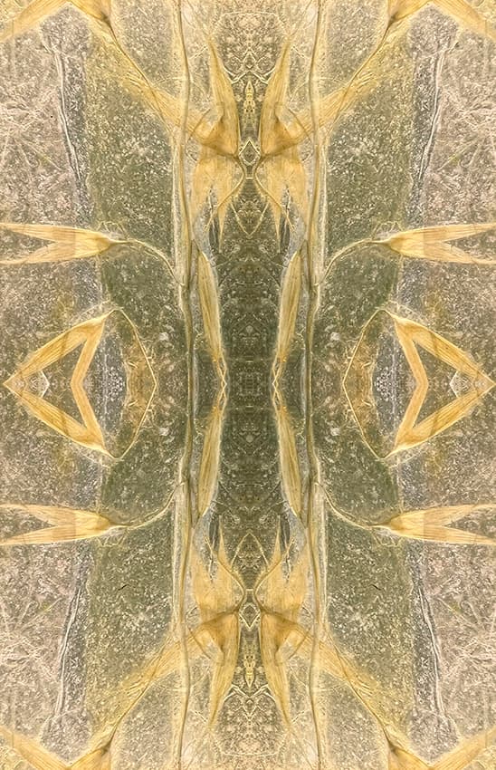 ExtraOrdinaire Nature 4