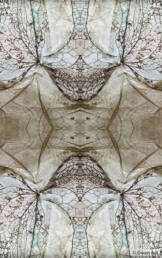 ExtraOrdinaire Nature 5