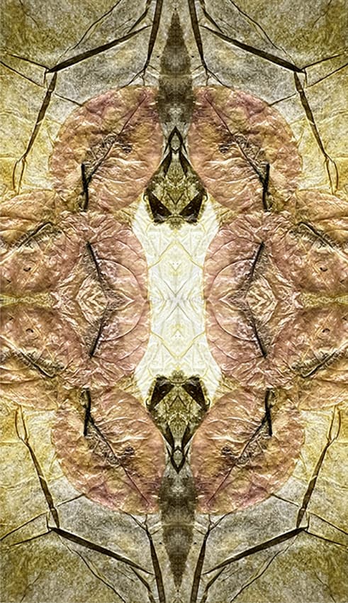 ExtraOrdinaire Nature 6