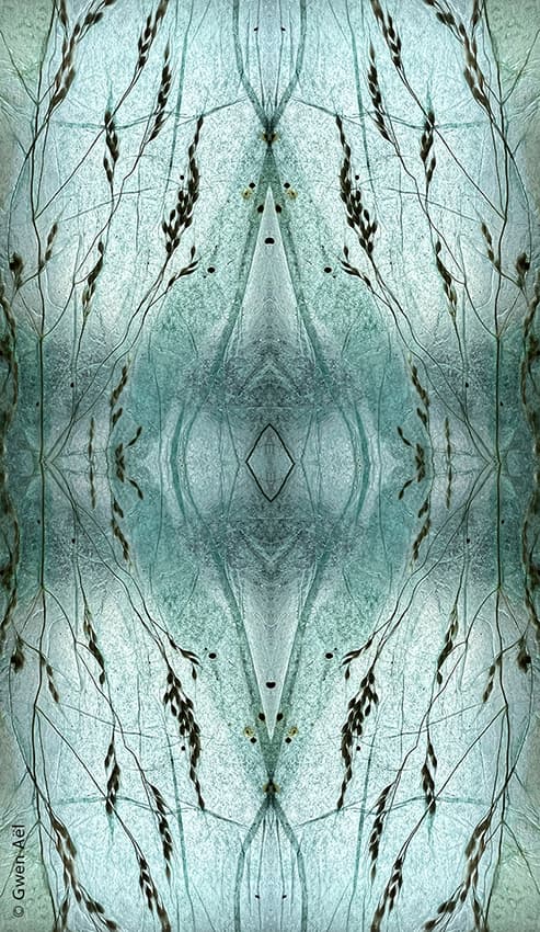 ExtraOrdinaire Nature 7