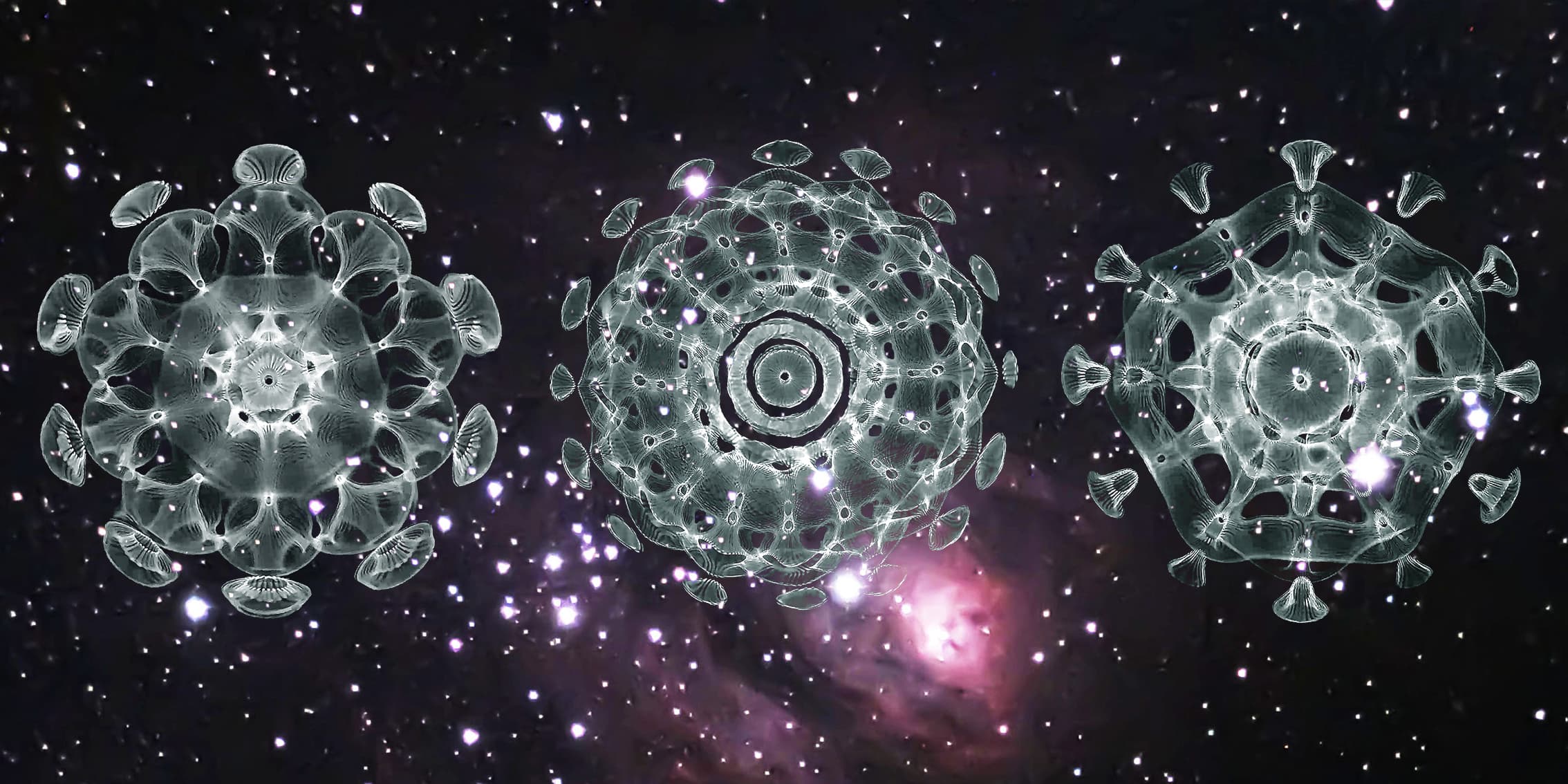 Cymatic Art | Marina HUGUES