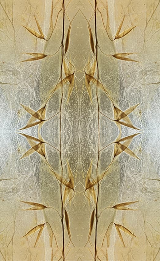 ExtraOrdinaire Nature 8