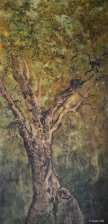 Génie des Arbres / portraits