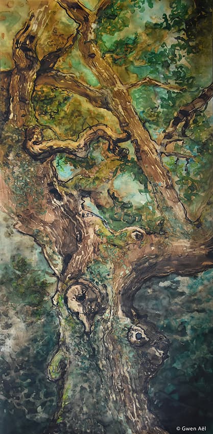 Génie des Arbres / portrait chêne