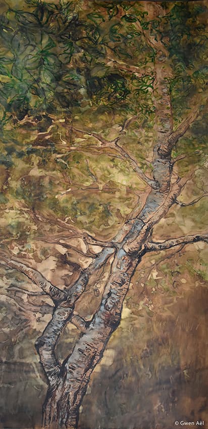 Génie des Arbres / portrait cerisier