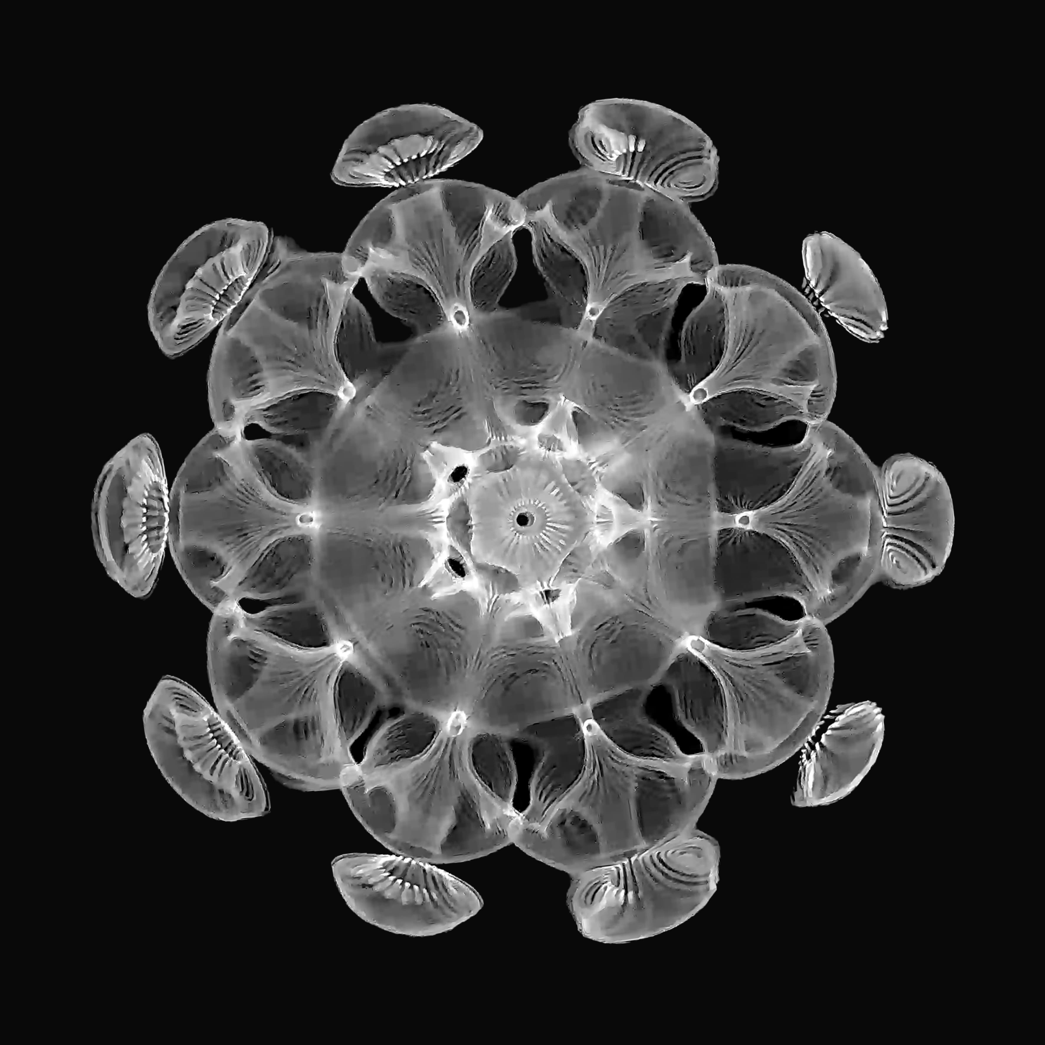 Cymatic Art | Marina HUGUES