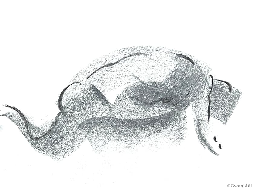 Haïku dessiné - fusain- Gwen Aël